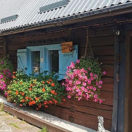 Wsiowa Chata Scinawka Gorna Zewnętrze zdjęcie
